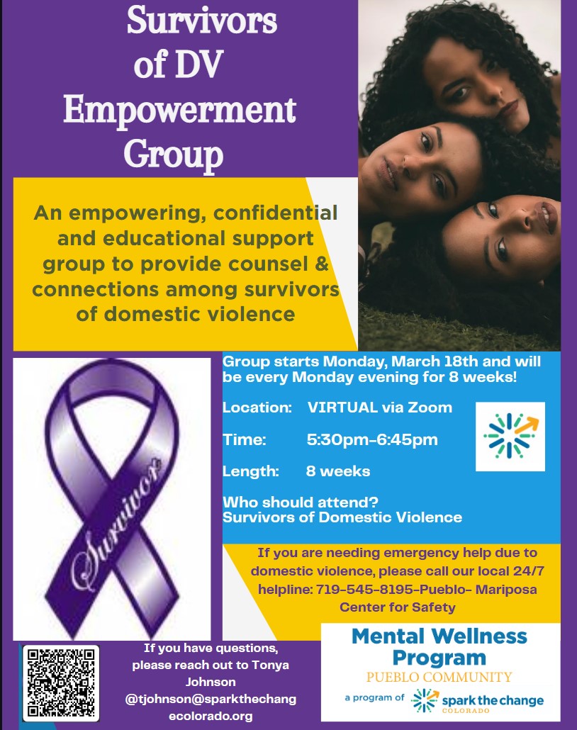 Survivors of DV Group